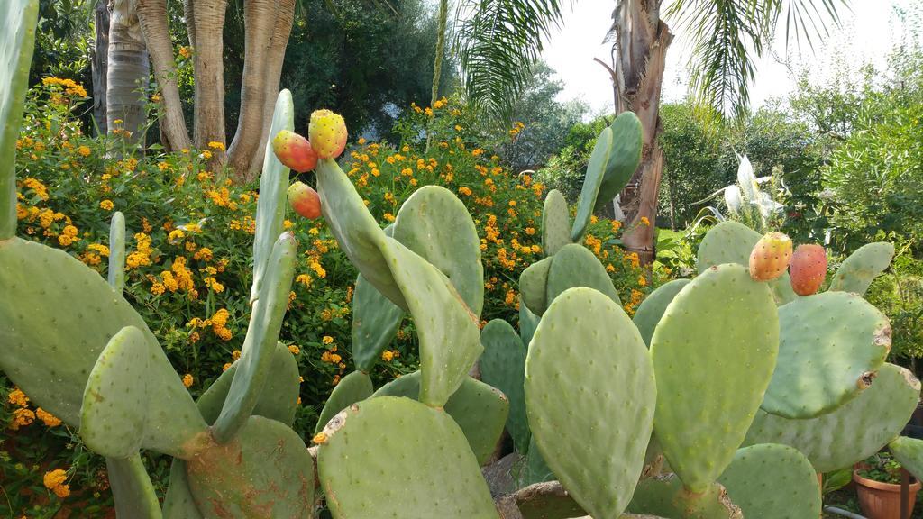 B & B Villa Flora Mondello Exterior photo